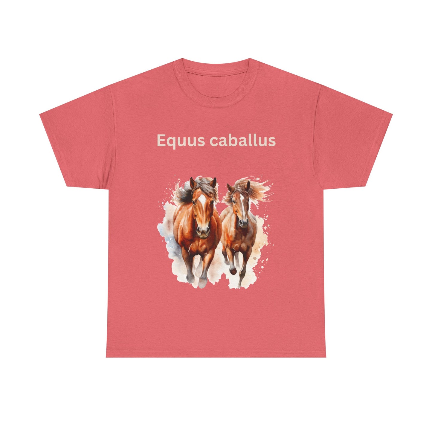 Unisex Scientific Name, Equus Caballus Unisex Heavy Cotton, Horse, 100% Organic Cotton